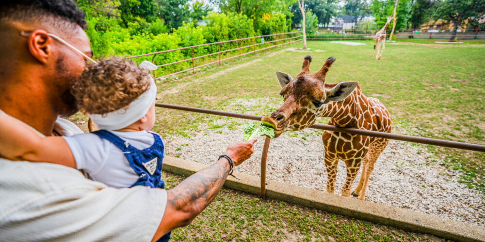 Family Friendly Fun - Visit Minot