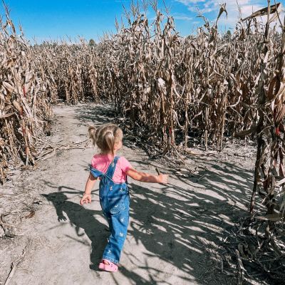 Corn Maze at Berry Acres