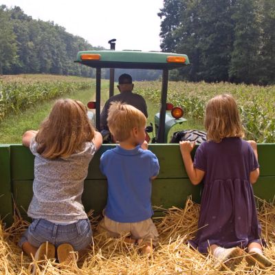 Fall Hay Rides