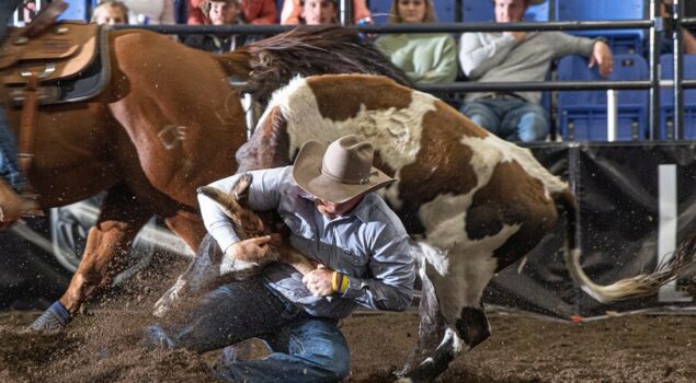 Badlands Circuit Finals Rodeo 