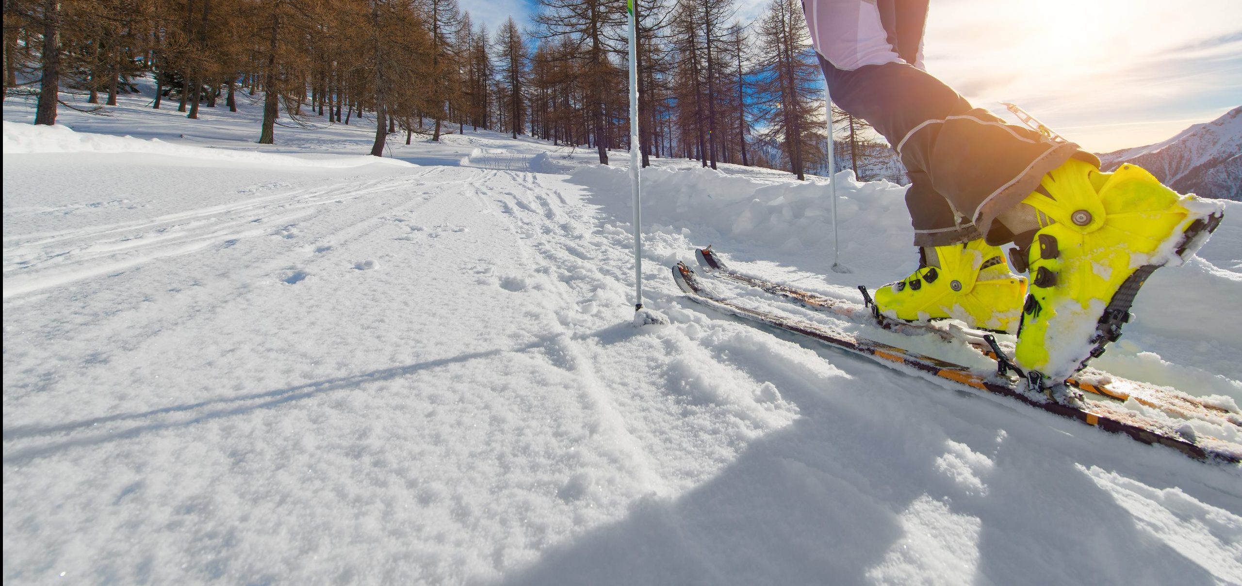 Cross Country Skiing & Snowshoeing